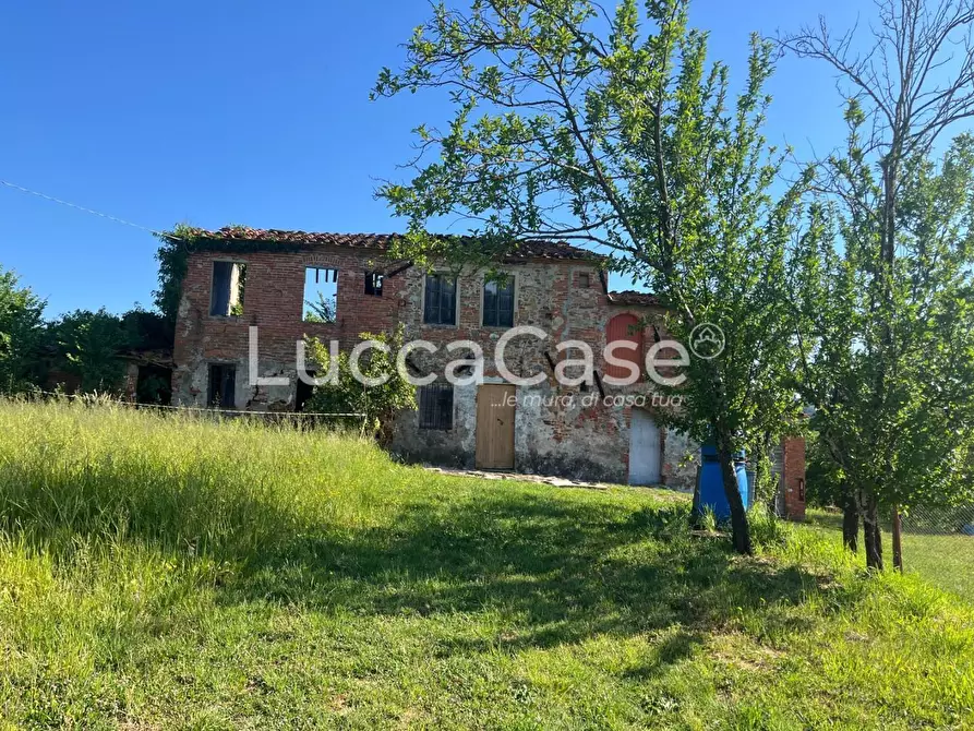 Immagine 1 di Rustico / casale in vendita  a Montecarlo