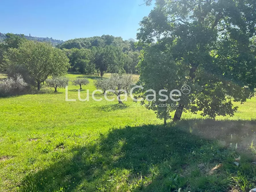 Immagine 14 di Rustico / casale in vendita  a Montecarlo