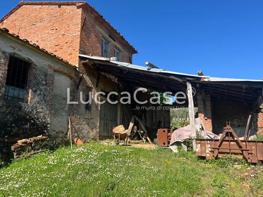 Immagine 3 di Rustico / casale in vendita  a Montecarlo
