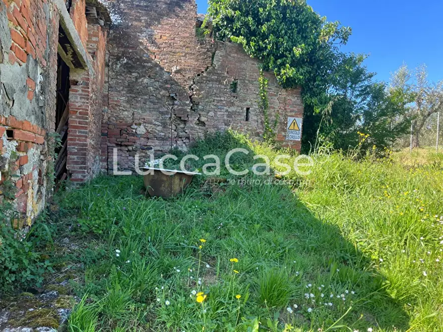 Immagine 10 di Rustico / casale in vendita  a Montecarlo