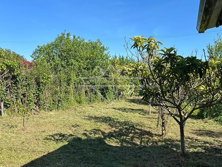 Immagine 6 di Terreno agricolo in vendita  a Castelnuovo Magra