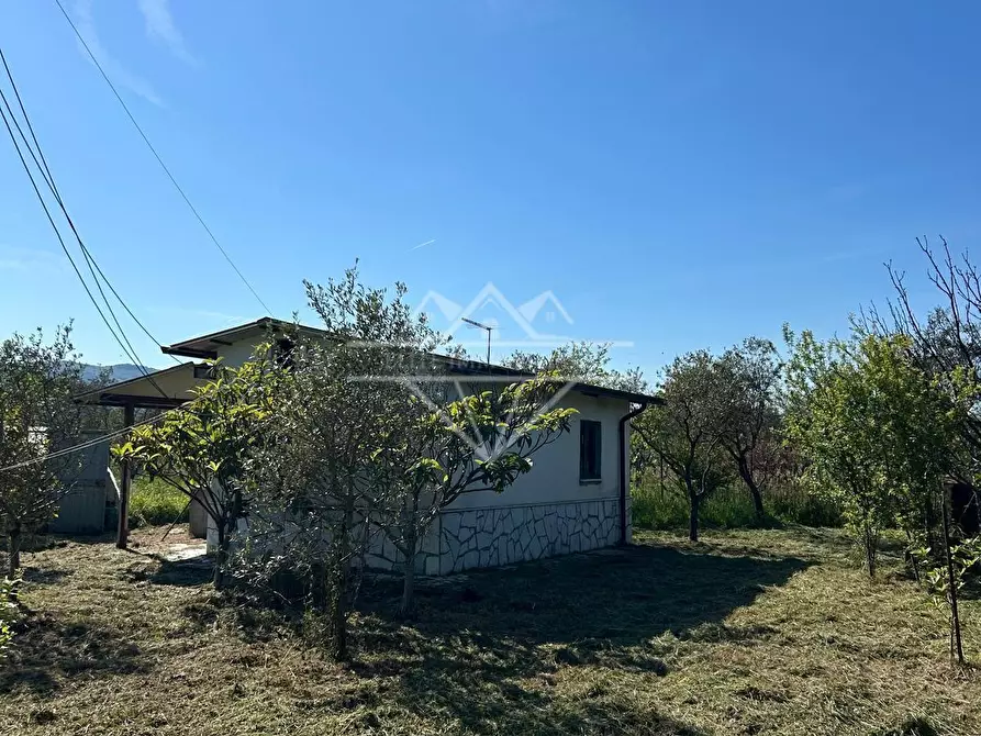 Immagine 3 di Terreno agricolo in vendita  a Castelnuovo Magra