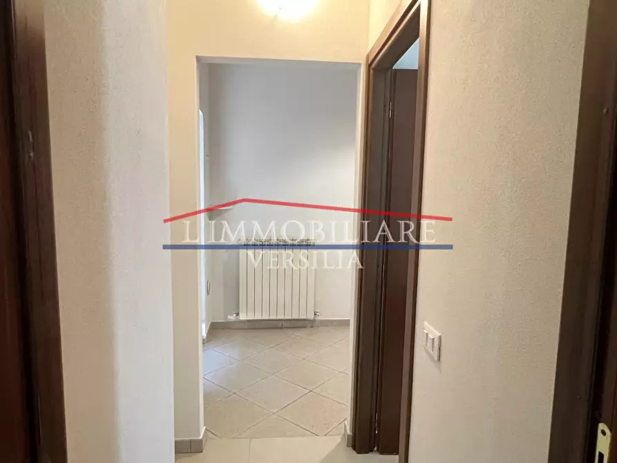 Immagine 6 di Appartamento in vendita  a Massa