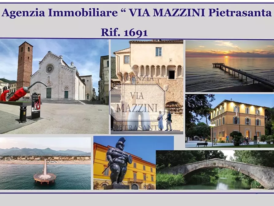 Immagine 5 di Villa in vendita  a Pietrasanta