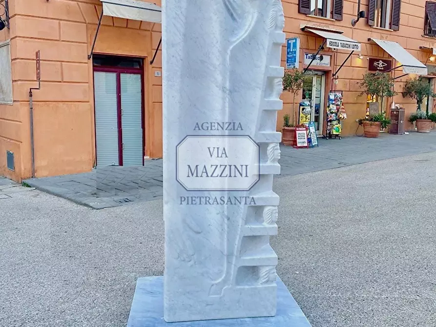 Immagine 19 di Villa in vendita  a Pietrasanta
