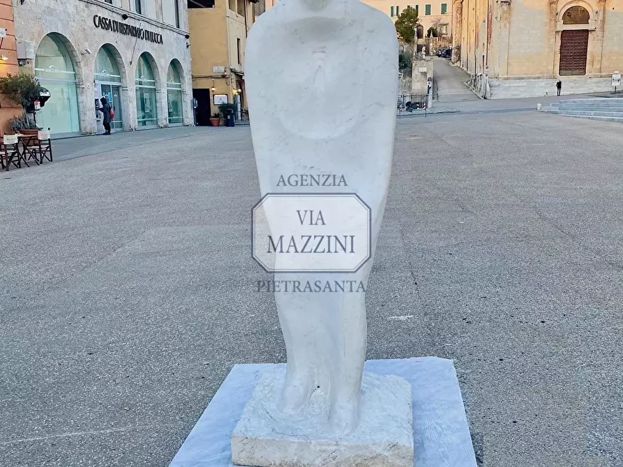 Immagine 17 di Villa in vendita  a Pietrasanta
