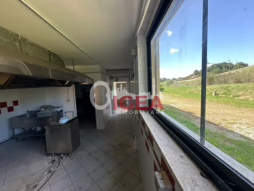 Immagine 41 di Albergo/B&B/Residence in vendita  a Montalcino