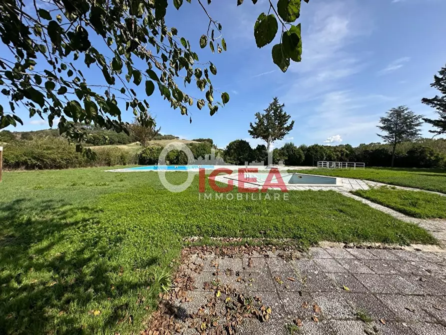 Immagine 23 di Albergo/B&B/Residence in vendita  a Montalcino