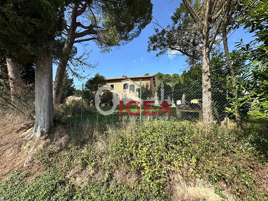 Immagine 70 di Albergo/B&B/Residence in vendita  a Montalcino