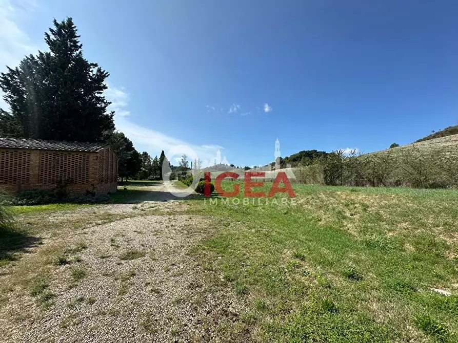 Immagine 60 di Albergo/B&B/Residence in vendita  a Montalcino
