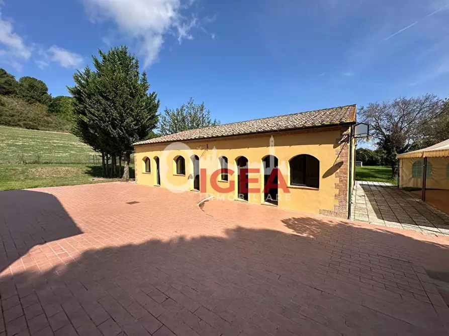 Immagine 16 di Albergo/B&B/Residence in vendita  a Montalcino