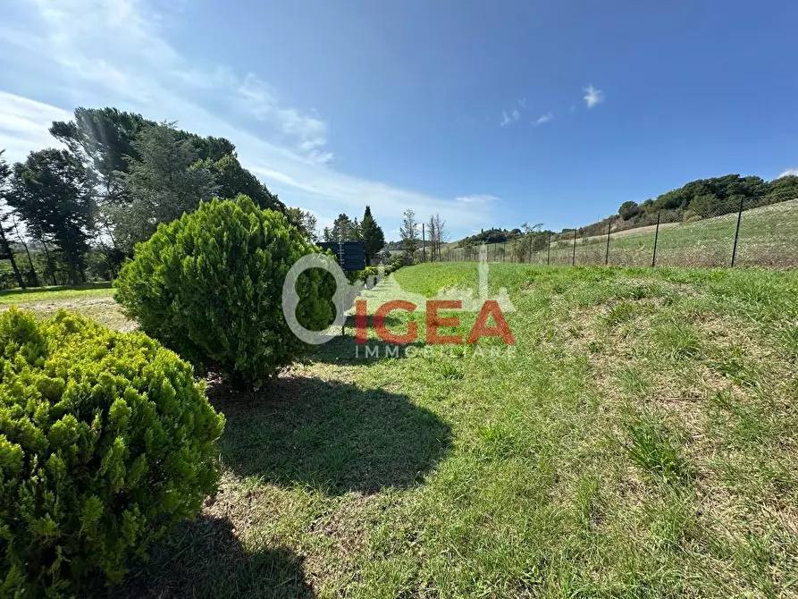Immagine 72 di Albergo/B&B/Residence in vendita  a Montalcino