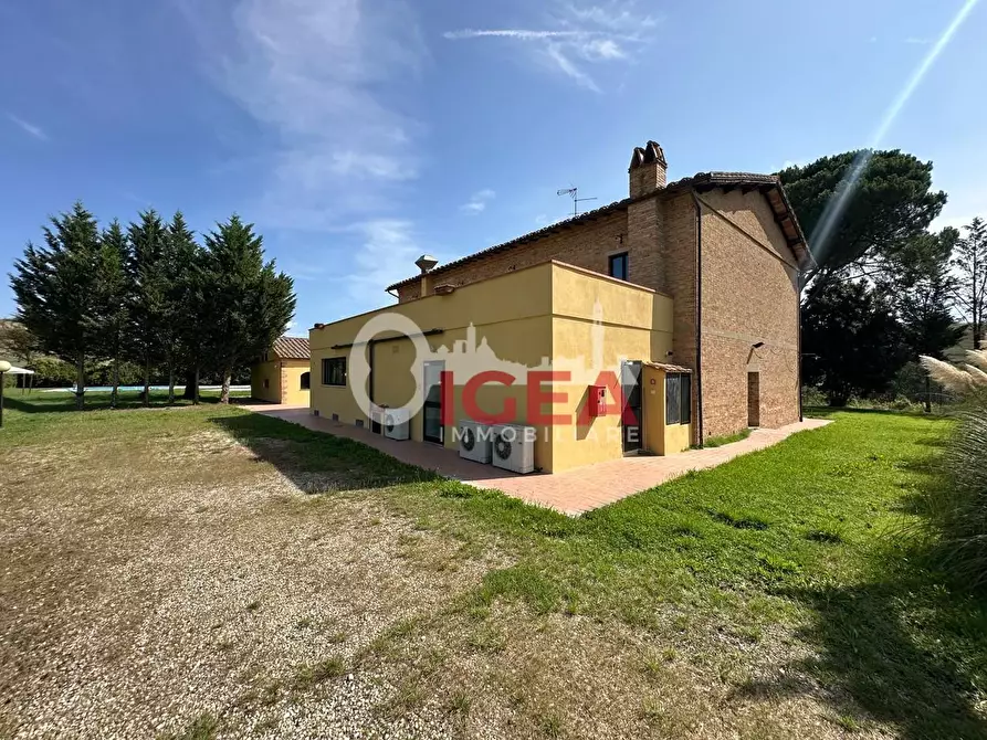 Immagine 6 di Albergo/B&B/Residence in vendita  a Montalcino