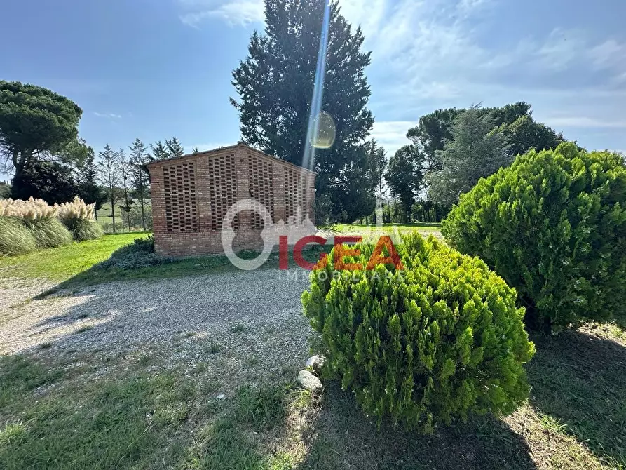 Immagine 73 di Albergo/B&B/Residence in vendita  a Montalcino