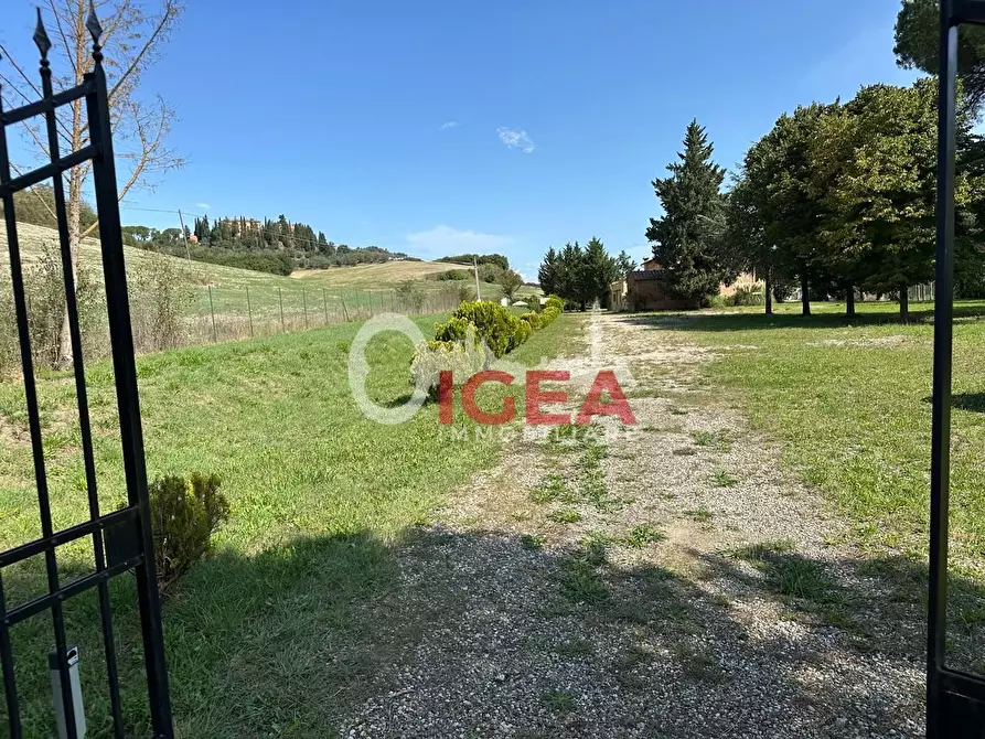 Immagine 68 di Albergo/B&B/Residence in vendita  a Montalcino