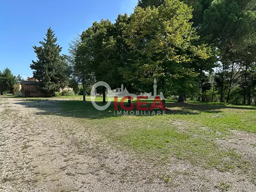 Immagine 76 di Albergo/B&B/Residence in vendita  a Montalcino