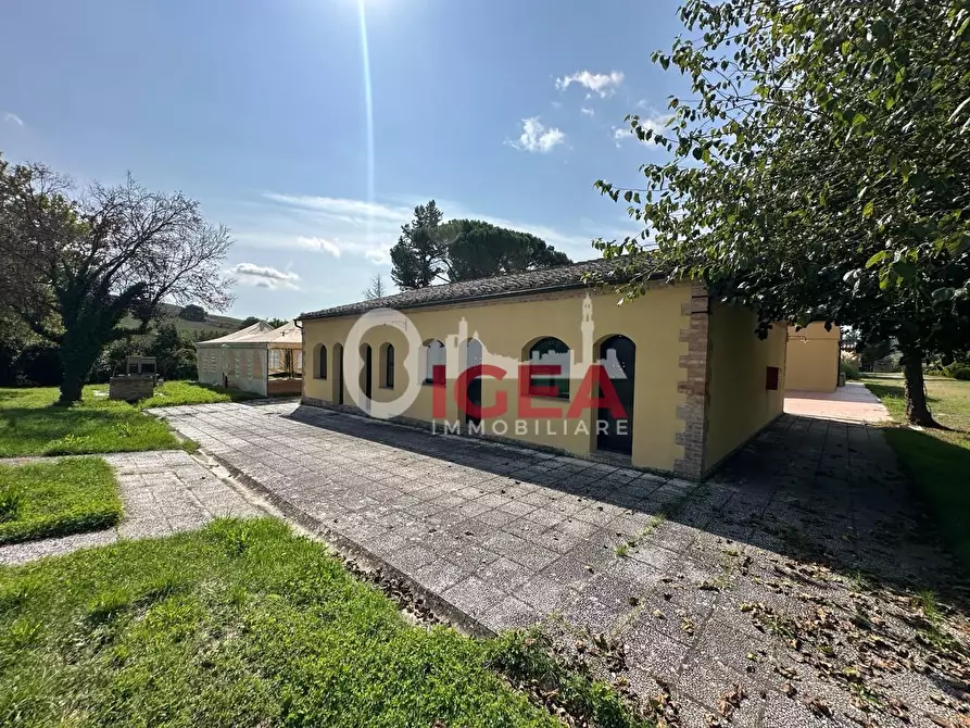 Immagine 24 di Albergo/B&B/Residence in vendita  a Montalcino