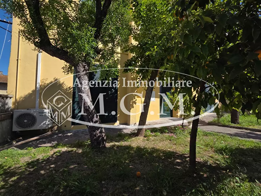 Immagine 42 di Terratetto in vendita  a Montopoli In Val D'arno