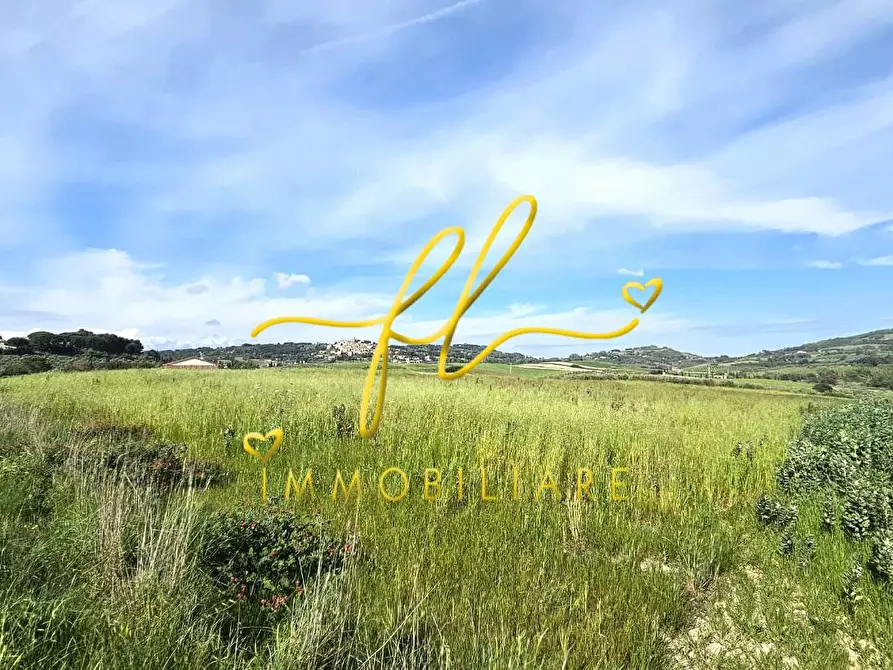 Immagine 2 di Terreno agricolo in vendita  a Bibbona