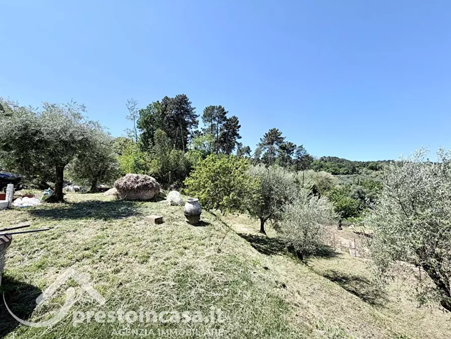 Immagine 49 di Villa in vendita  a Montecarlo