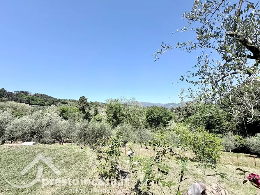 Immagine 51 di Villa in vendita  a Montecarlo