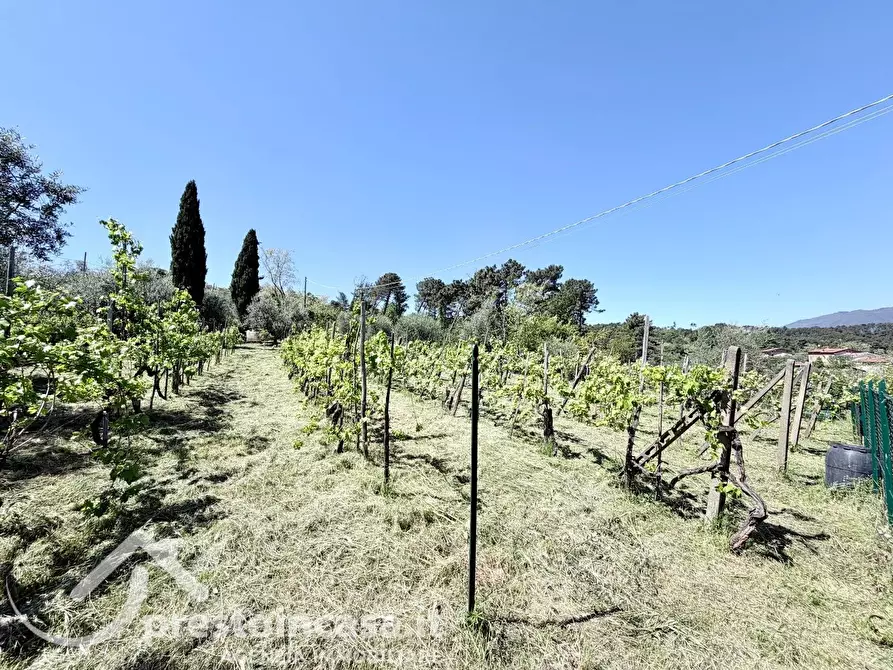 Immagine 50 di Villa in vendita  a Montecarlo