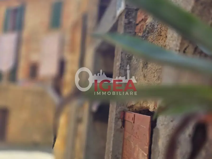 Immagine 3 di Terratetto in vendita  a Rapolano Terme