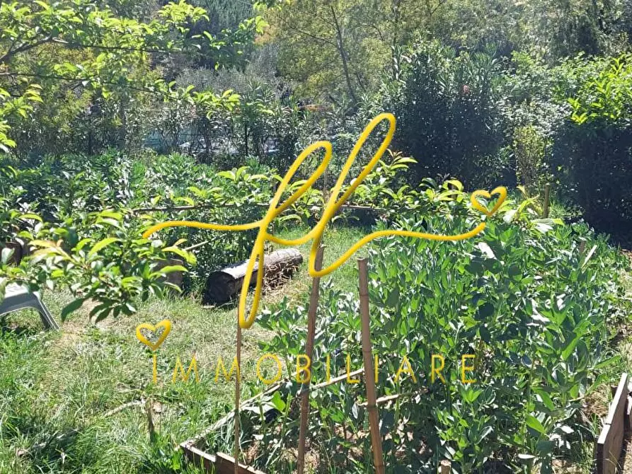 Immagine 51 di Terreno agricolo in vendita  a Livorno