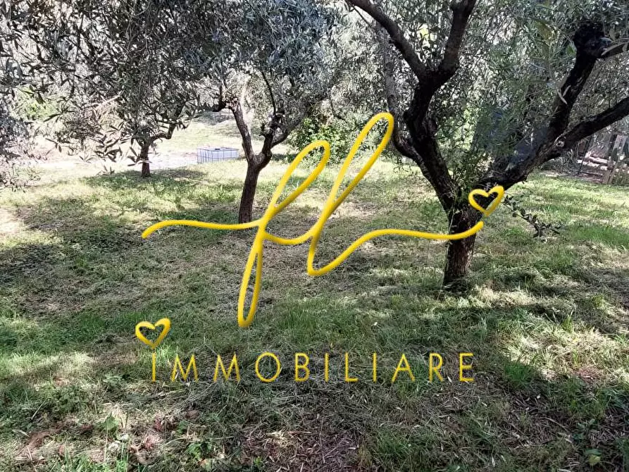 Immagine 7 di Terreno agricolo in vendita  a Livorno