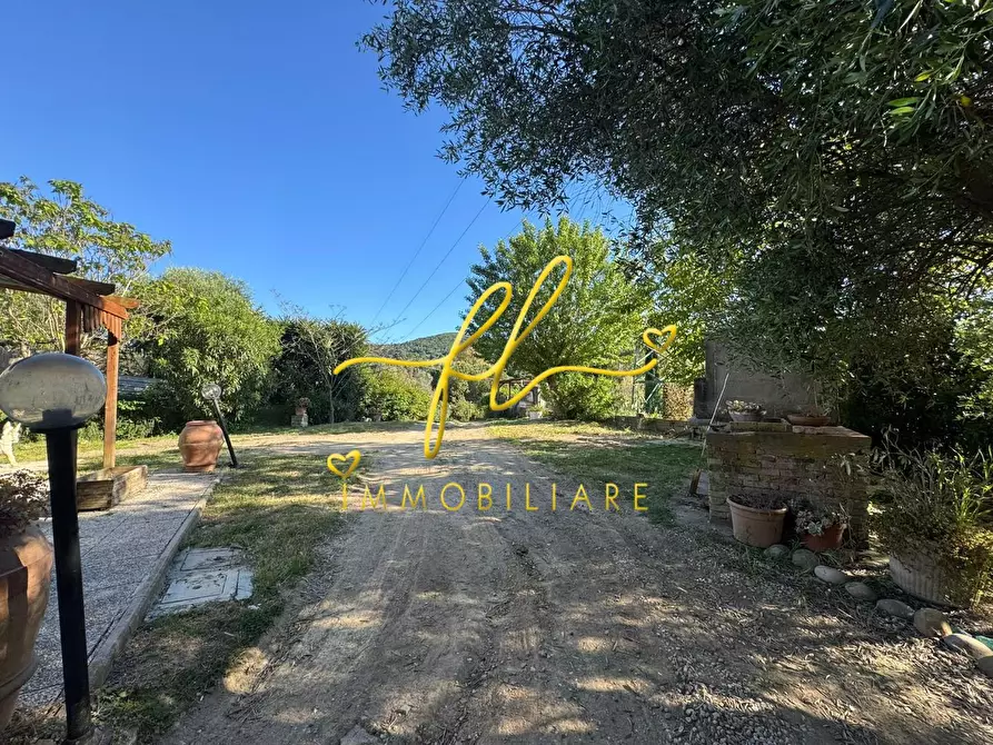 Immagine 13 di Terreno agricolo in vendita  a Livorno