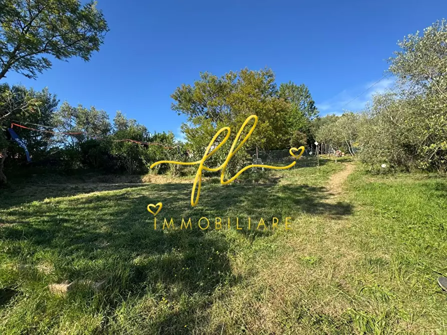 Immagine 5 di Terreno agricolo in vendita  a Livorno