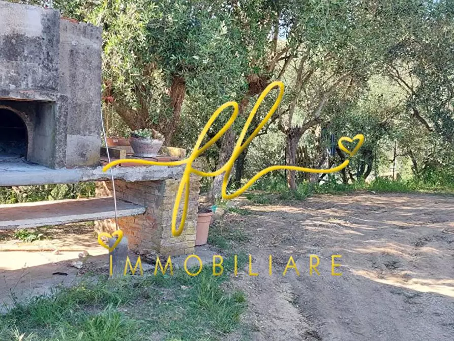 Immagine 44 di Terreno agricolo in vendita  a Livorno