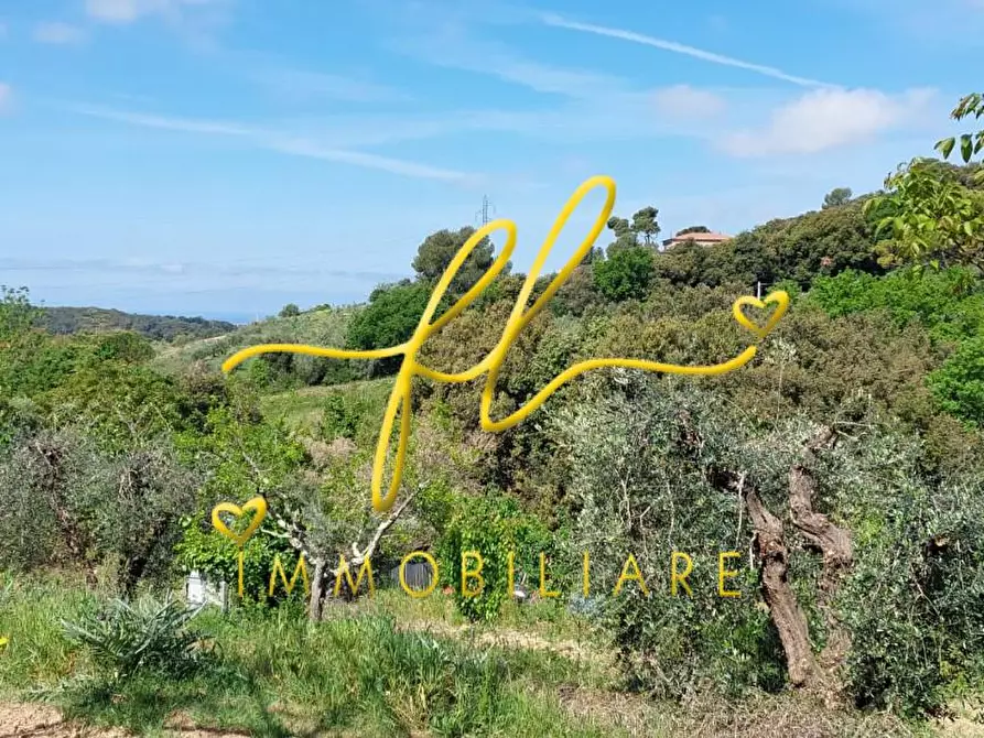 Immagine 8 di Terreno agricolo in vendita  a Livorno