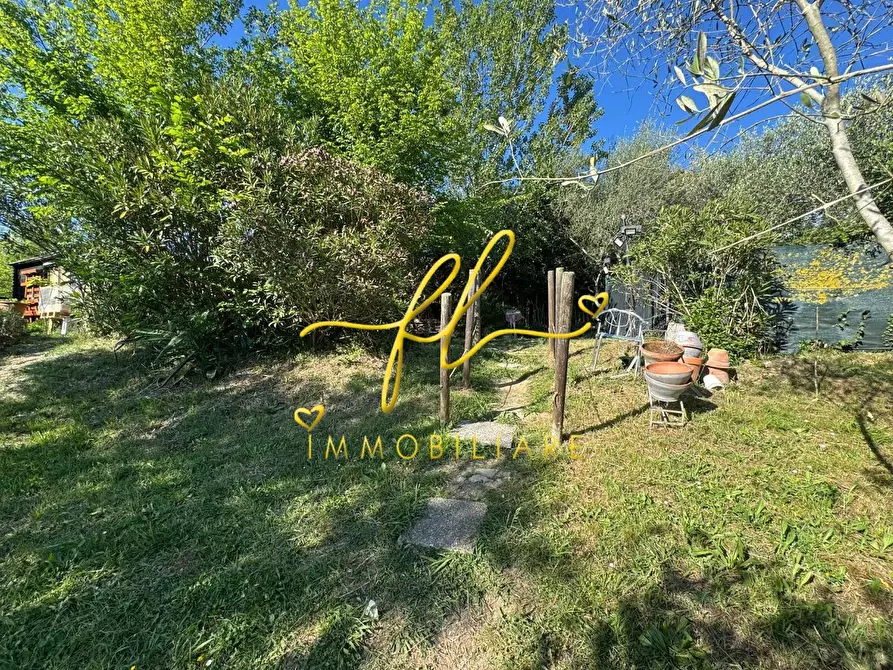 Immagine 14 di Terreno agricolo in vendita  a Livorno