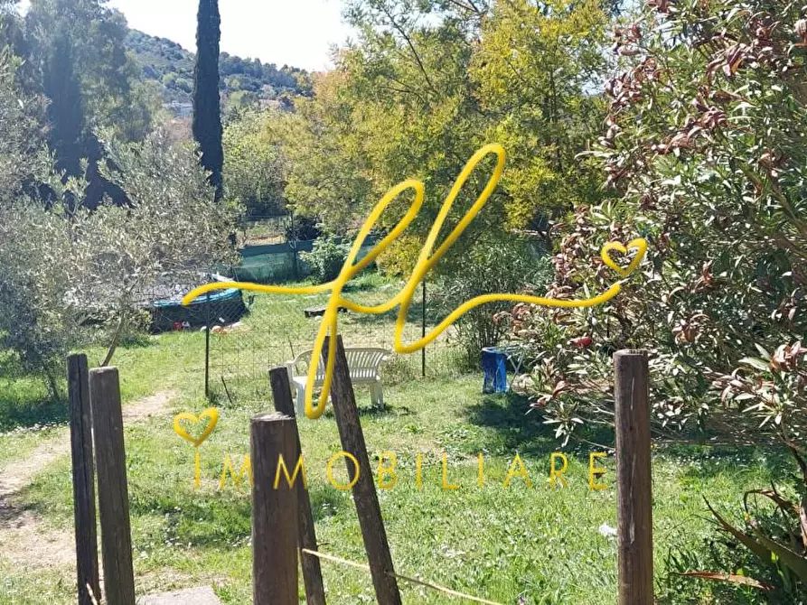 Immagine 50 di Terreno agricolo in vendita  a Livorno