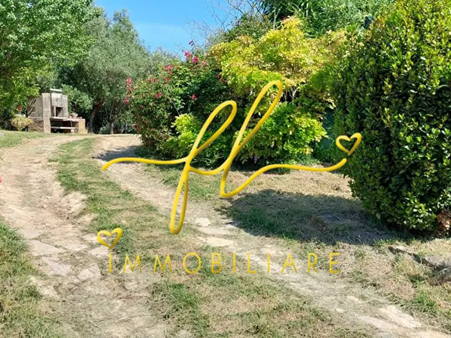 Immagine 43 di Terreno agricolo in vendita  a Livorno