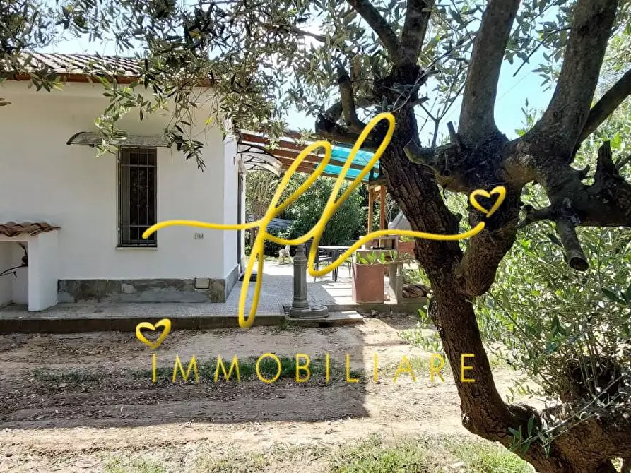 Immagine 40 di Terreno agricolo in vendita  a Livorno