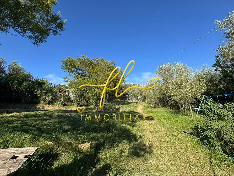 Immagine 6 di Terreno agricolo in vendita  a Livorno