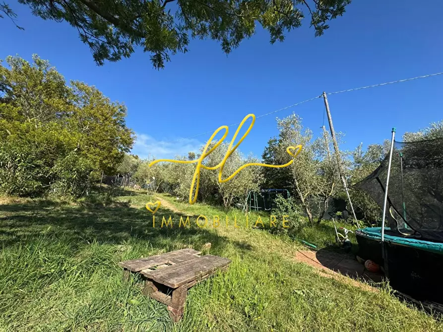 Immagine 10 di Terreno agricolo in vendita  a Livorno