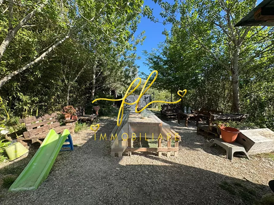 Immagine 21 di Terreno agricolo in vendita  a Livorno