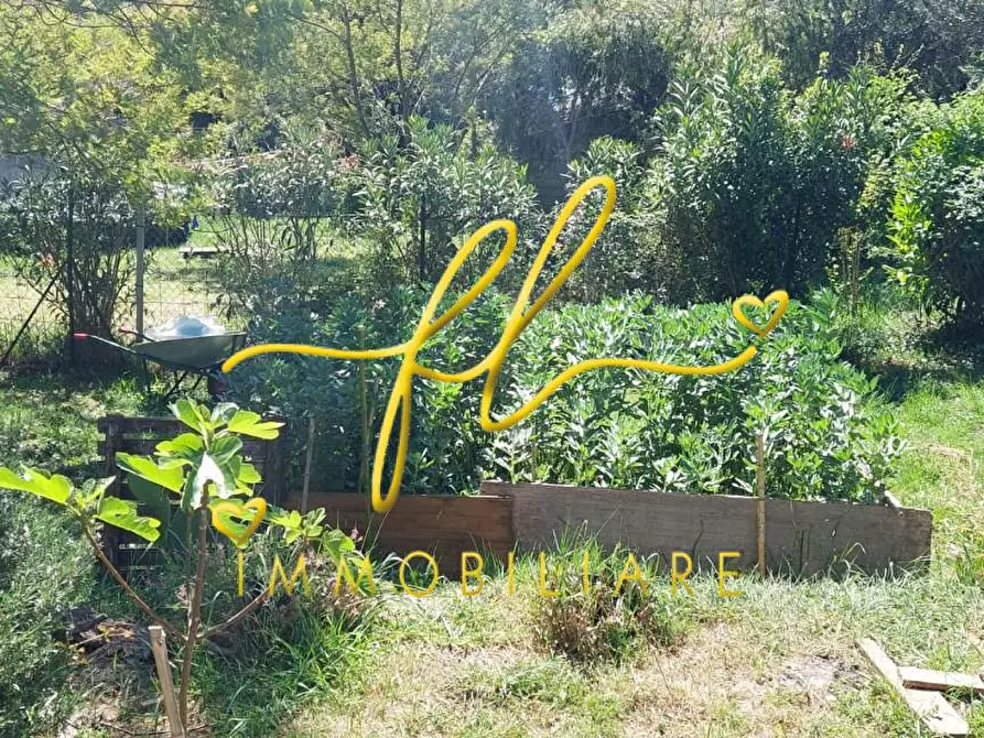 Immagine 53 di Terreno agricolo in vendita  a Livorno