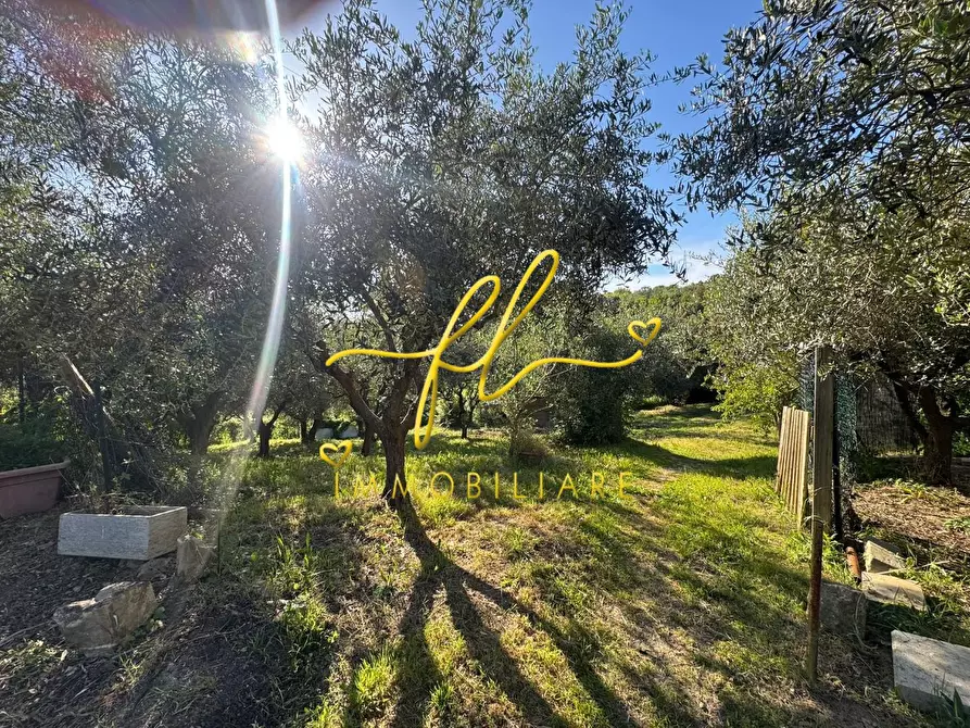 Immagine 46 di Terreno agricolo in vendita  a Livorno