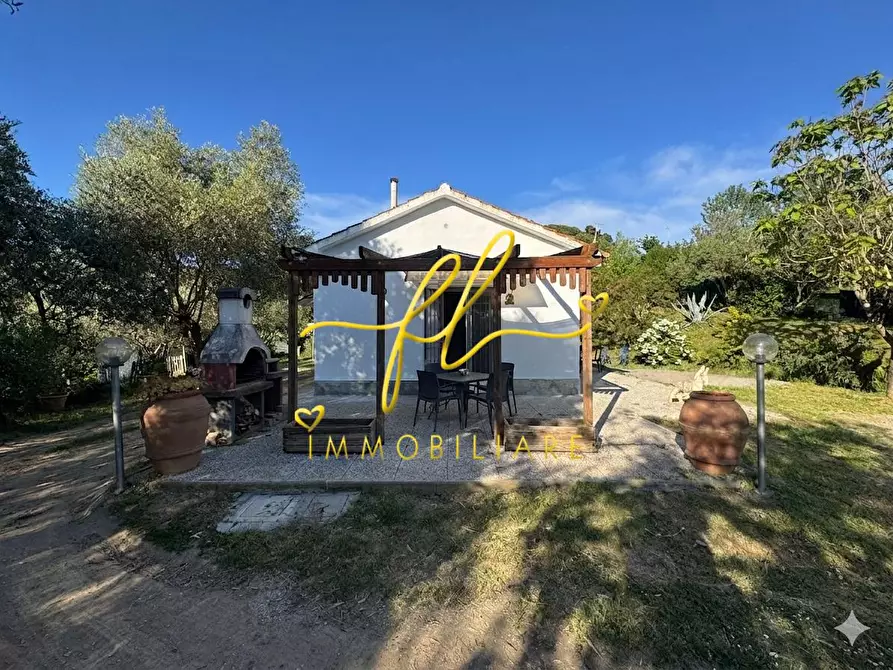 Immagine 37 di Terreno agricolo in vendita  a Livorno