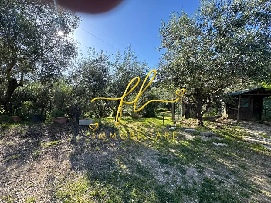 Immagine 12 di Terreno agricolo in vendita  a Livorno