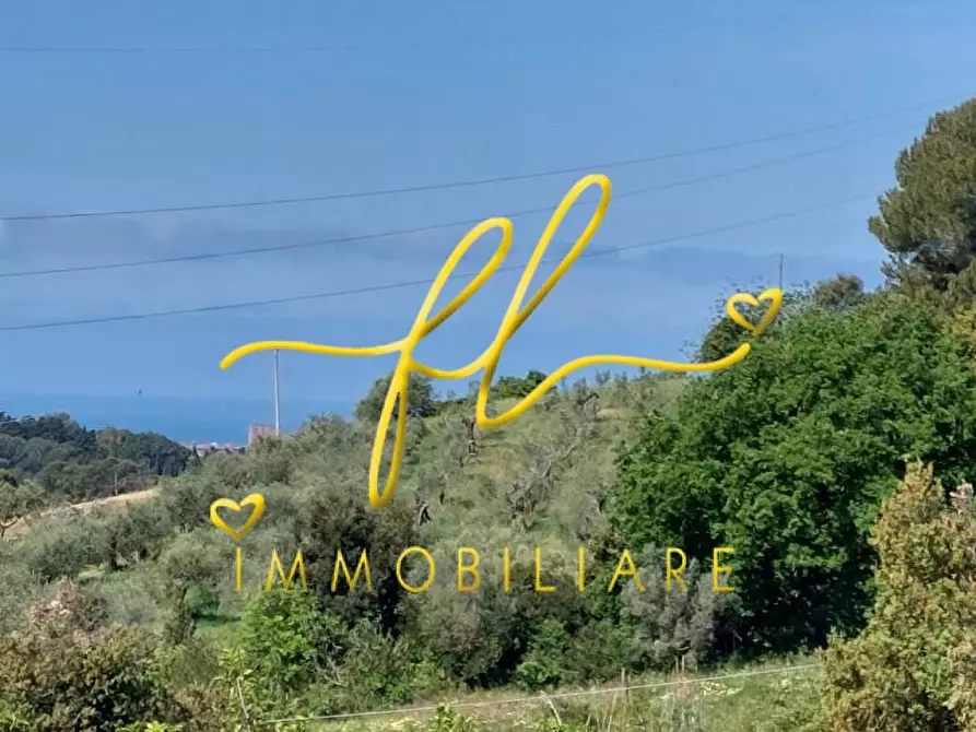 Immagine 48 di Terreno agricolo in vendita  a Livorno