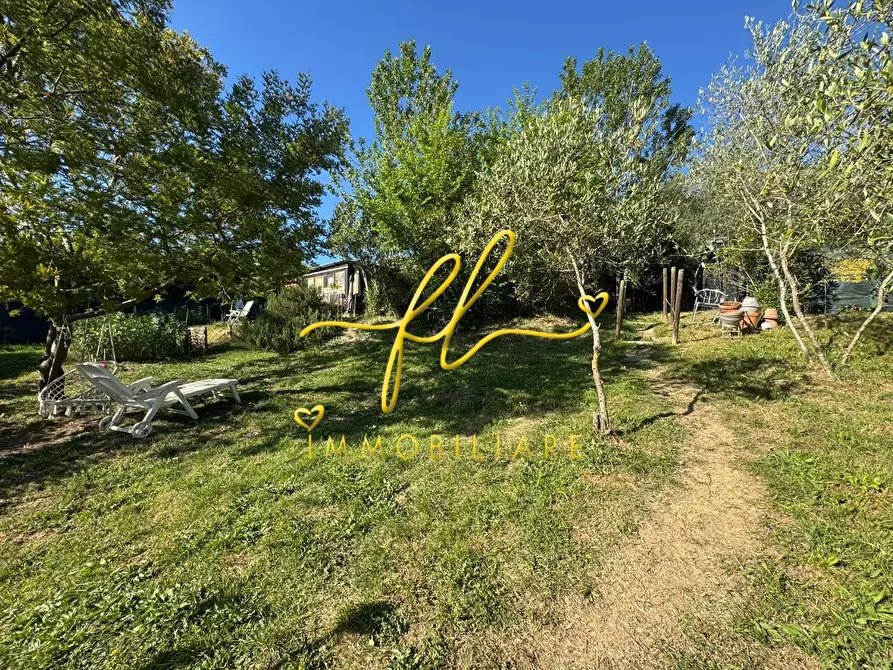 Immagine 3 di Terreno agricolo in vendita  a Livorno
