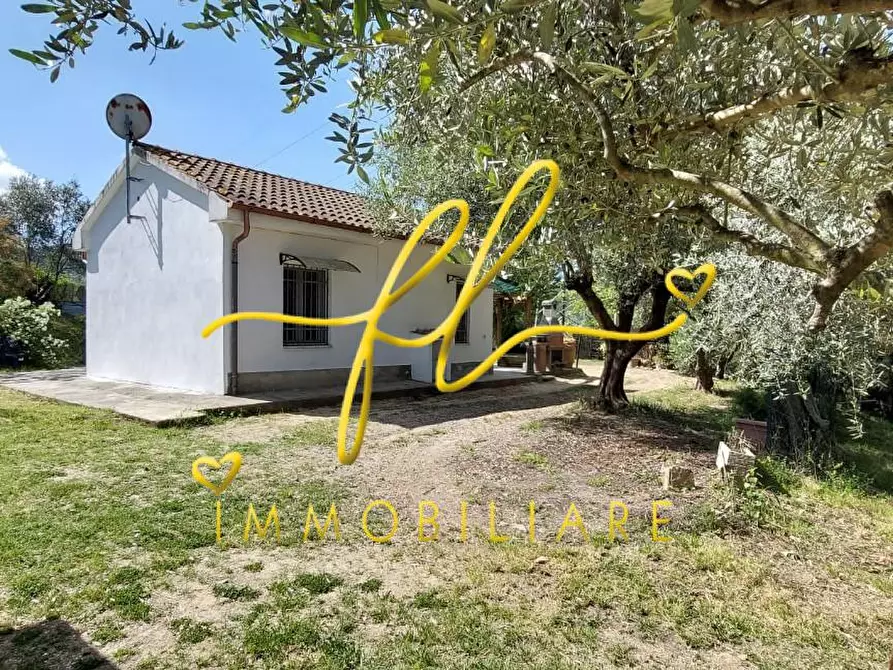 Immagine 39 di Terreno agricolo in vendita  a Livorno