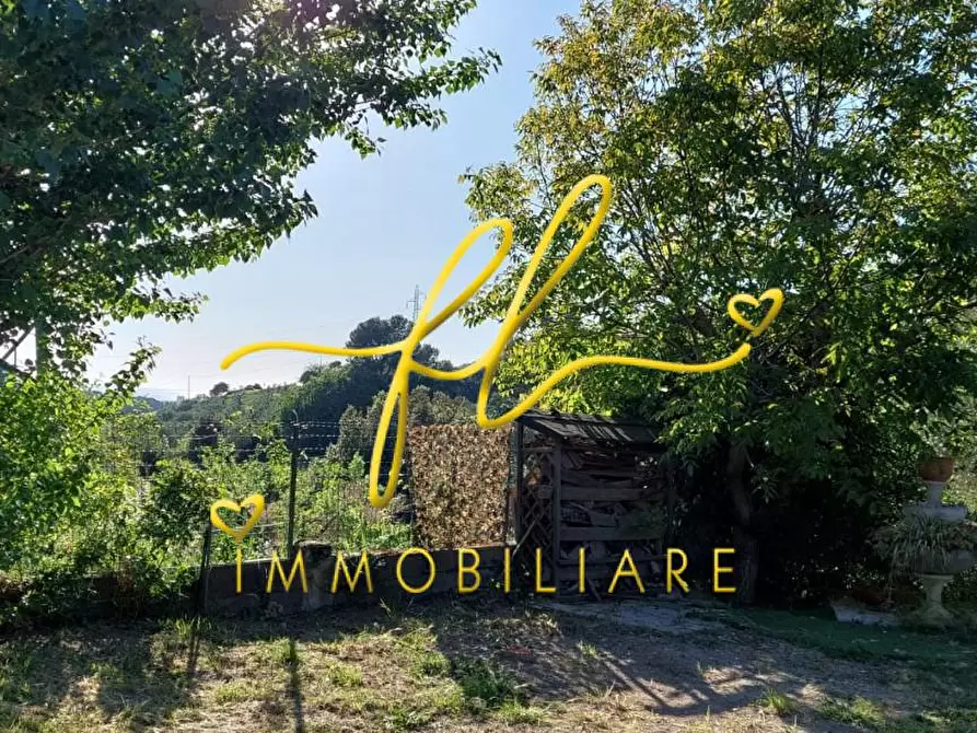 Immagine 49 di Terreno agricolo in vendita  a Livorno