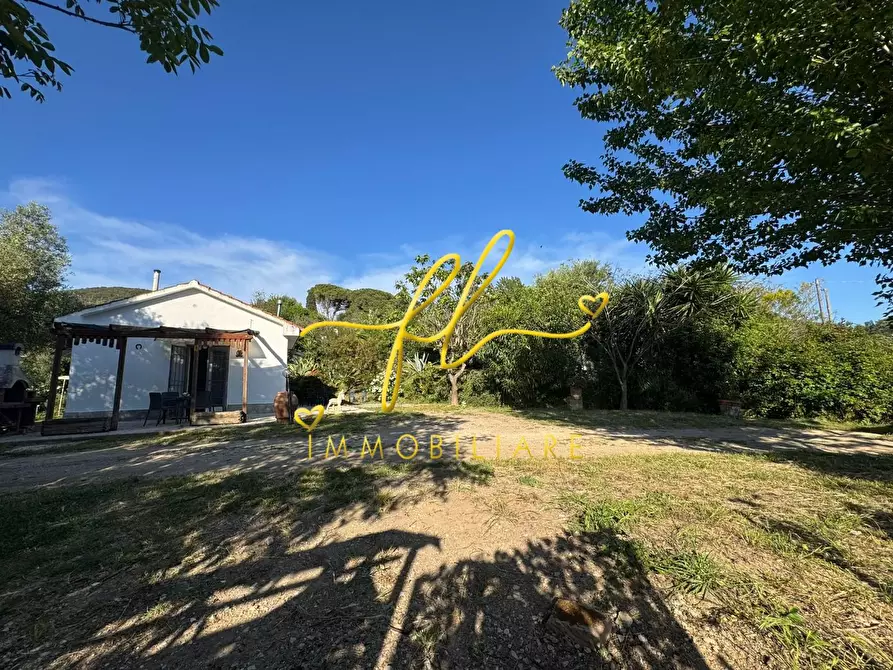 Immagine 34 di Terreno agricolo in vendita  a Livorno