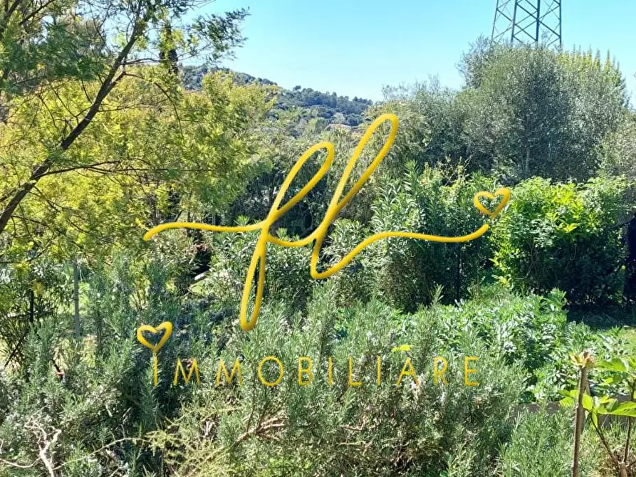 Immagine 55 di Terreno agricolo in vendita  a Livorno